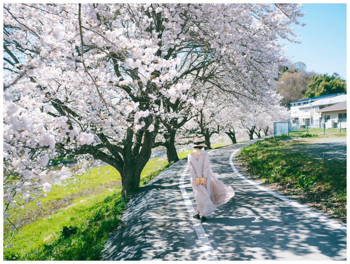 はるかす tweet media