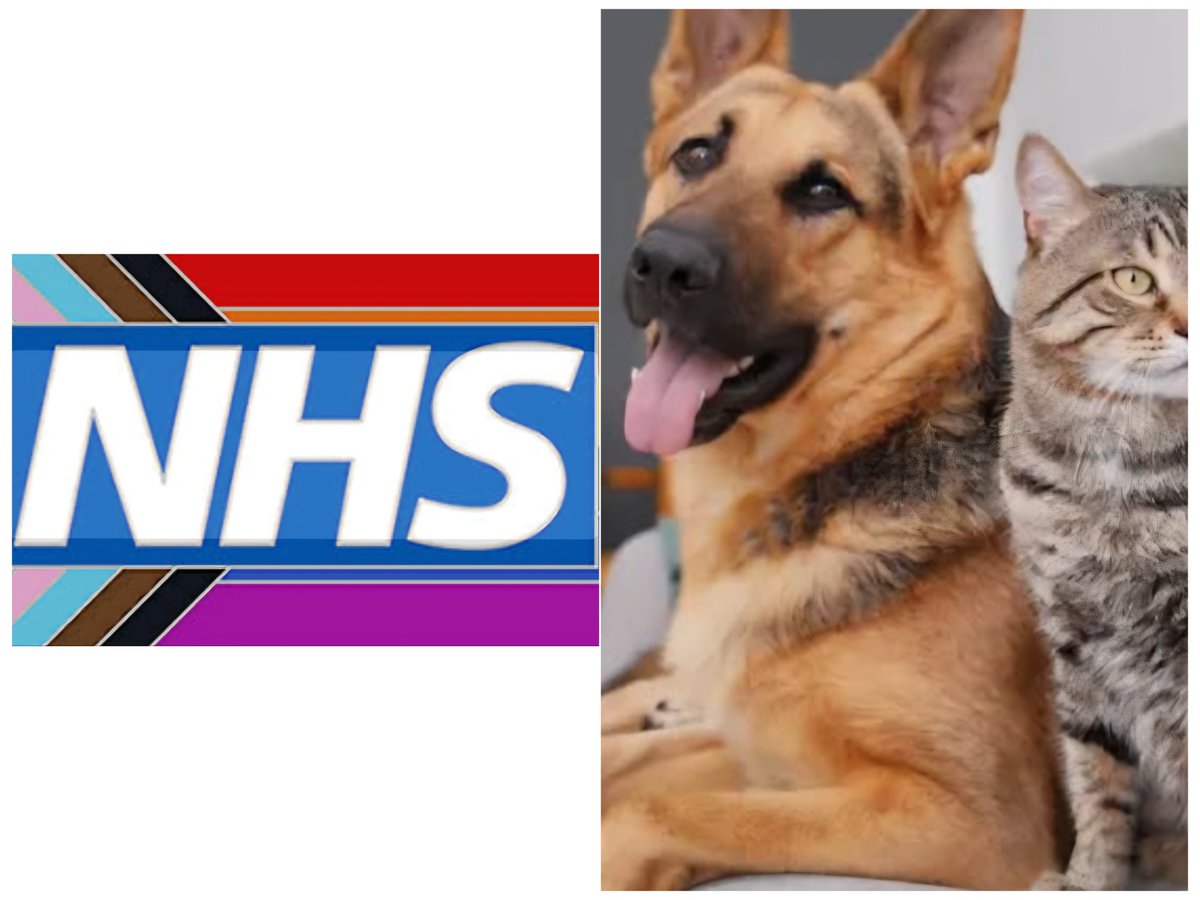 God Save Great Britain tweet media