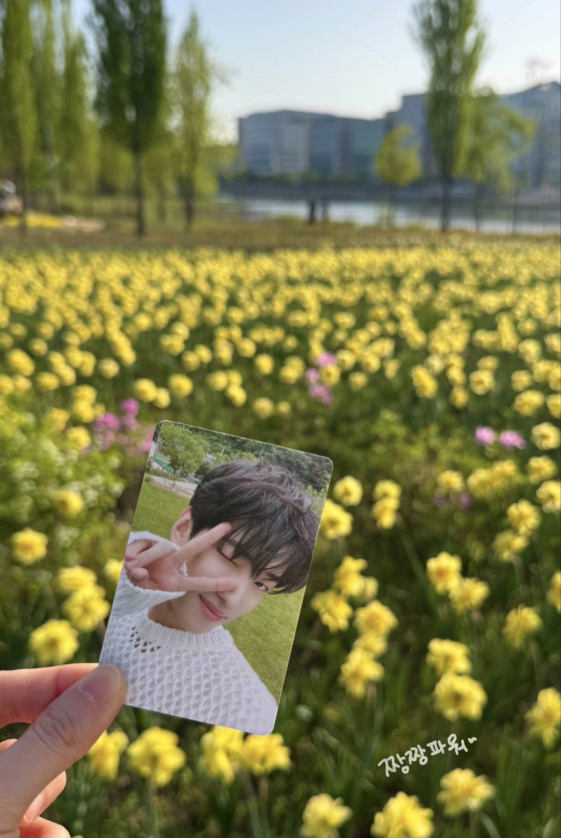 짱짱파워💪🏻 tweet media