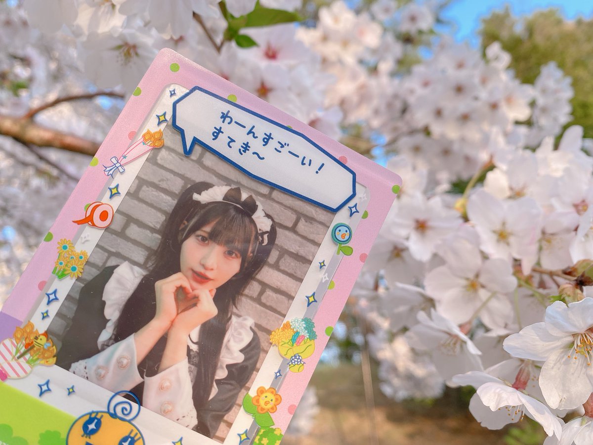 もちぱ tweet media