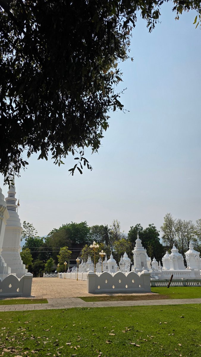 BIN~♡nie 🌧zneB tweet media