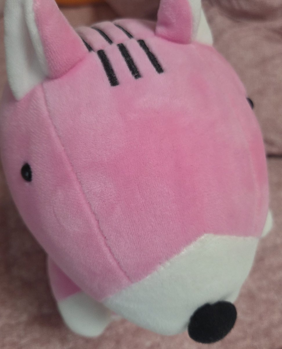 오늘의 공친(공부친구) 포로리