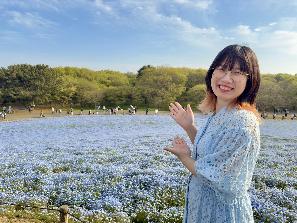 ひたち海浜公園 の #ネモフィラ みにいきました✨ めっちゃ綺麗でした