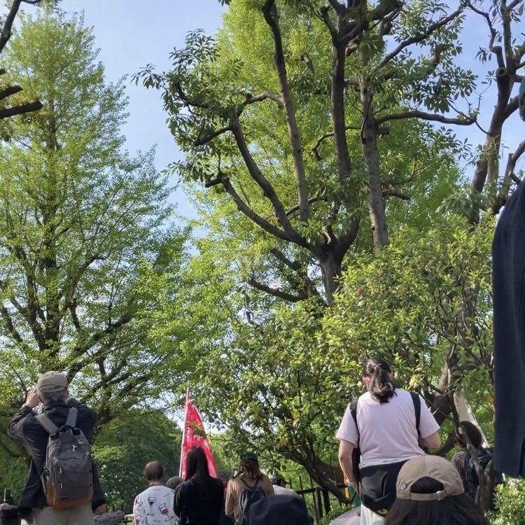 22gon1's tweet photo. #国会正門前大行動0419 https://t.co/AgtfmGOsQH