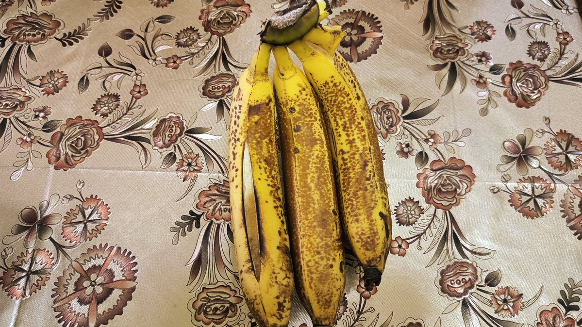 一顆西瓜 tweet media