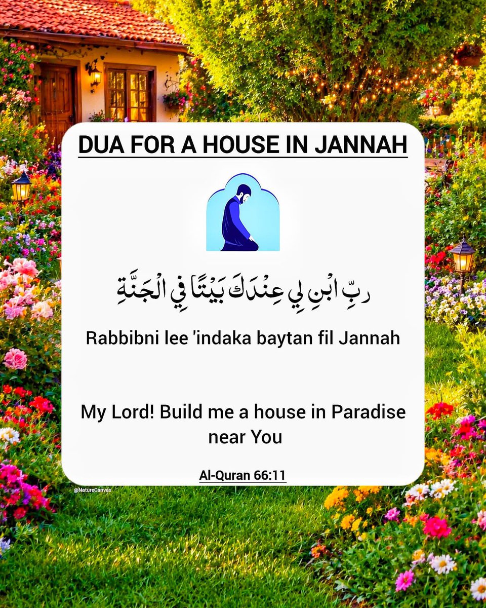Dua_hub tweet media