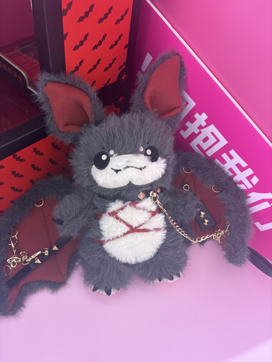 实践小猫咪 tweet media