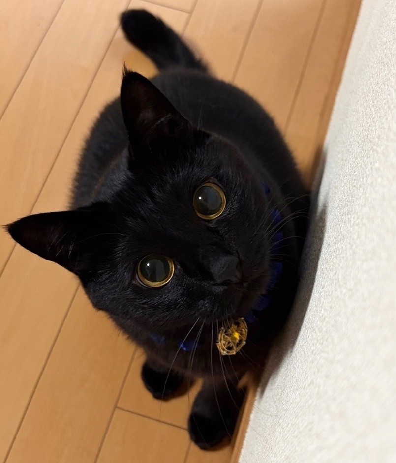 うに3才 tweet media