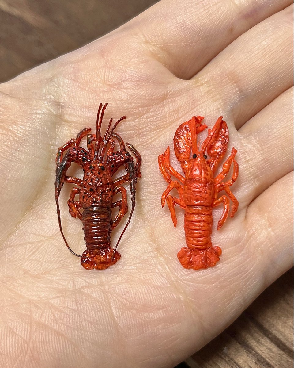 ここなっつ【クリマ　5/5.5/6両日　D-72】 tweet media