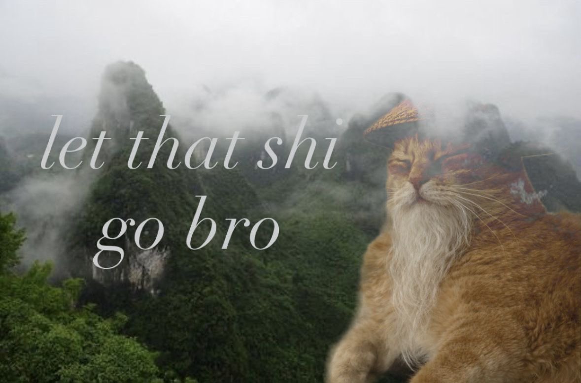 river 🪷 tweet media