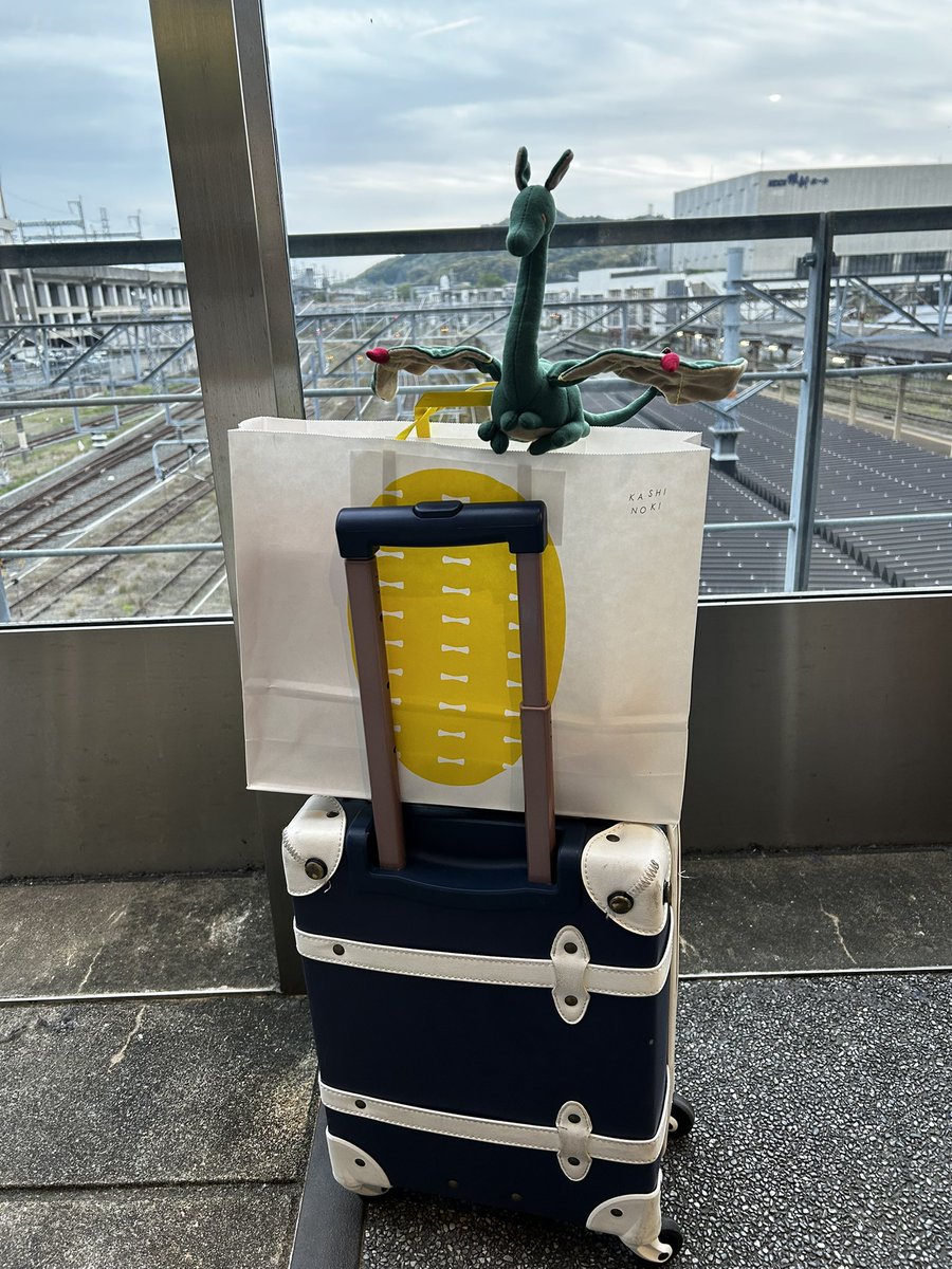 うさみみ tweet media