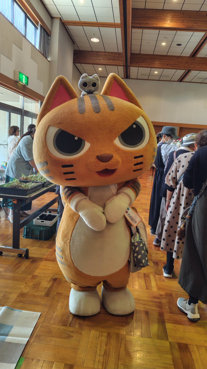 まさみ tweet media