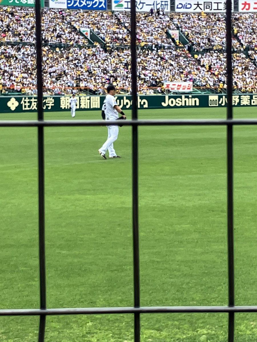 ナミヘー tweet media