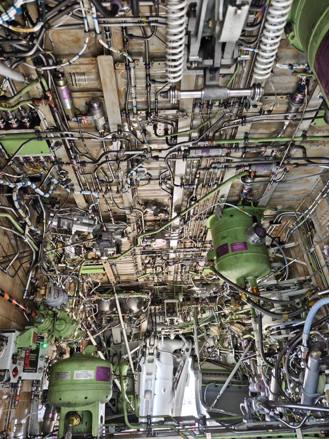 Turtle🐢 tweet media