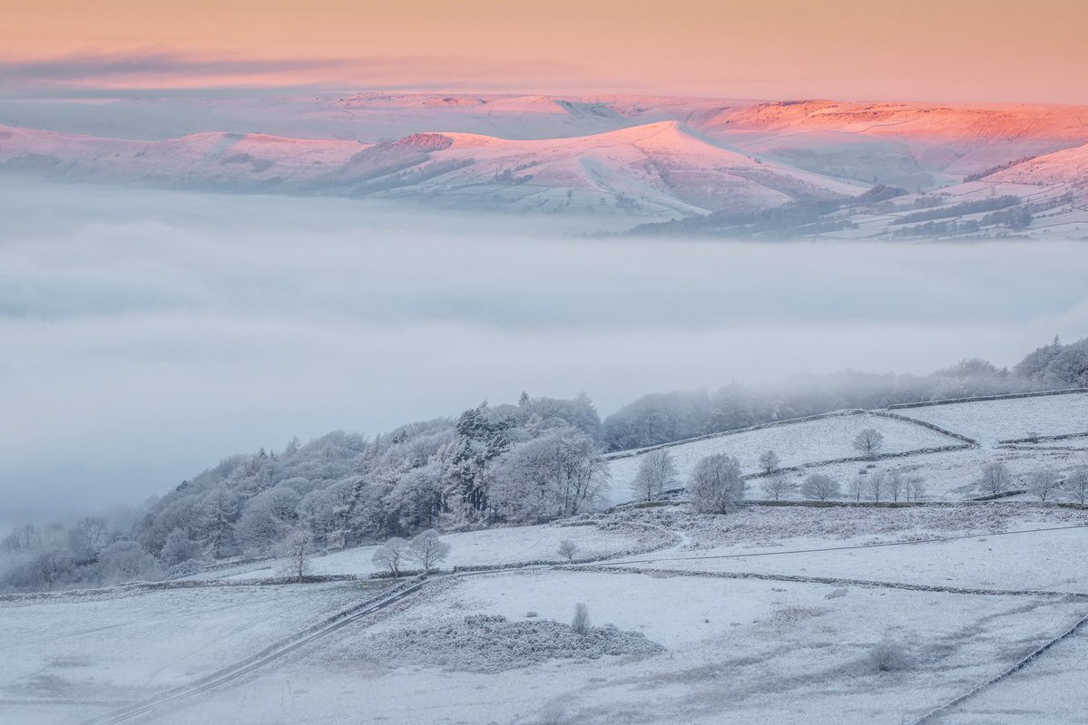 Verity Milligan tweet media