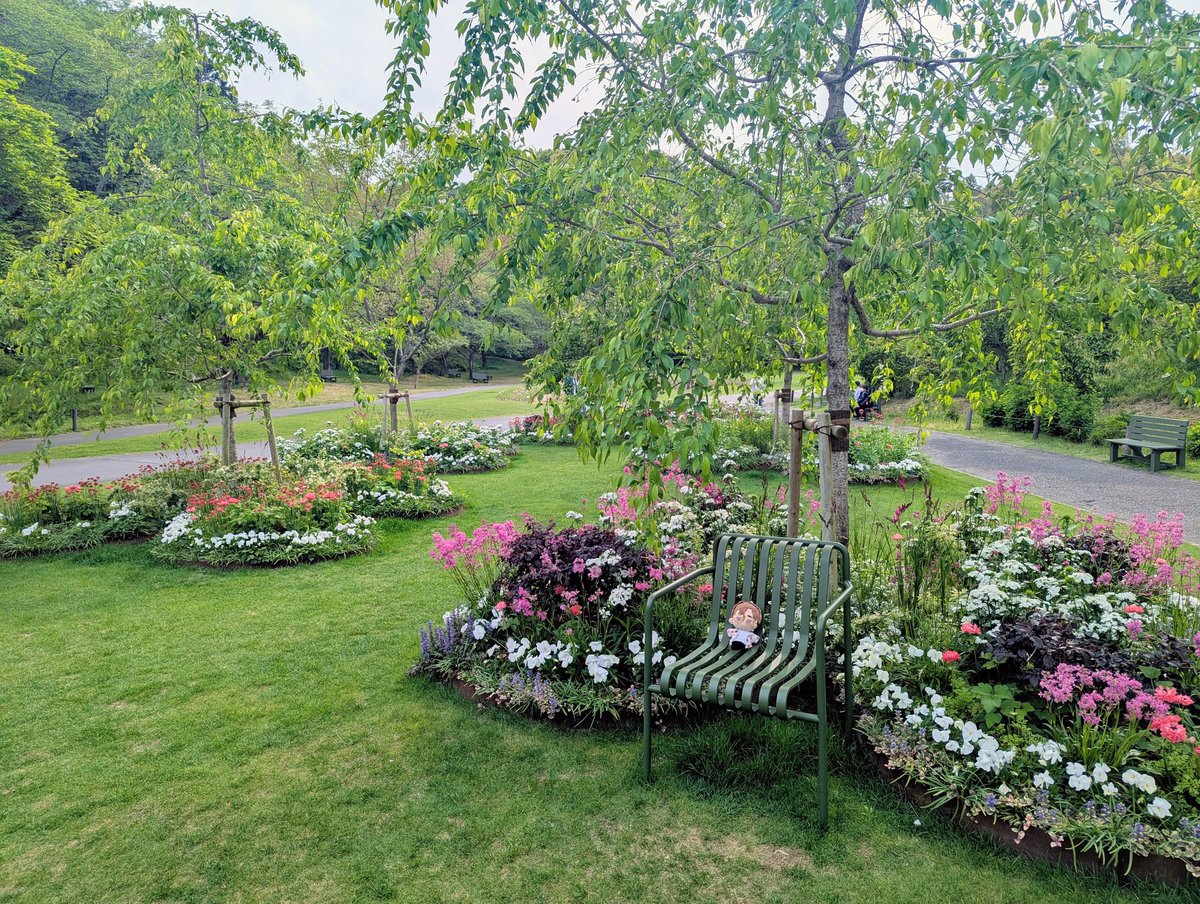 花を見に行ったよ