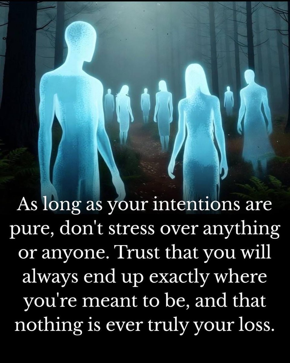 vegastar tweet media