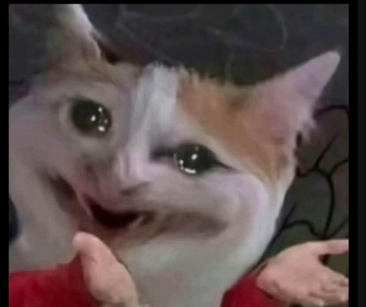 Damian☠️🖤 tweet media