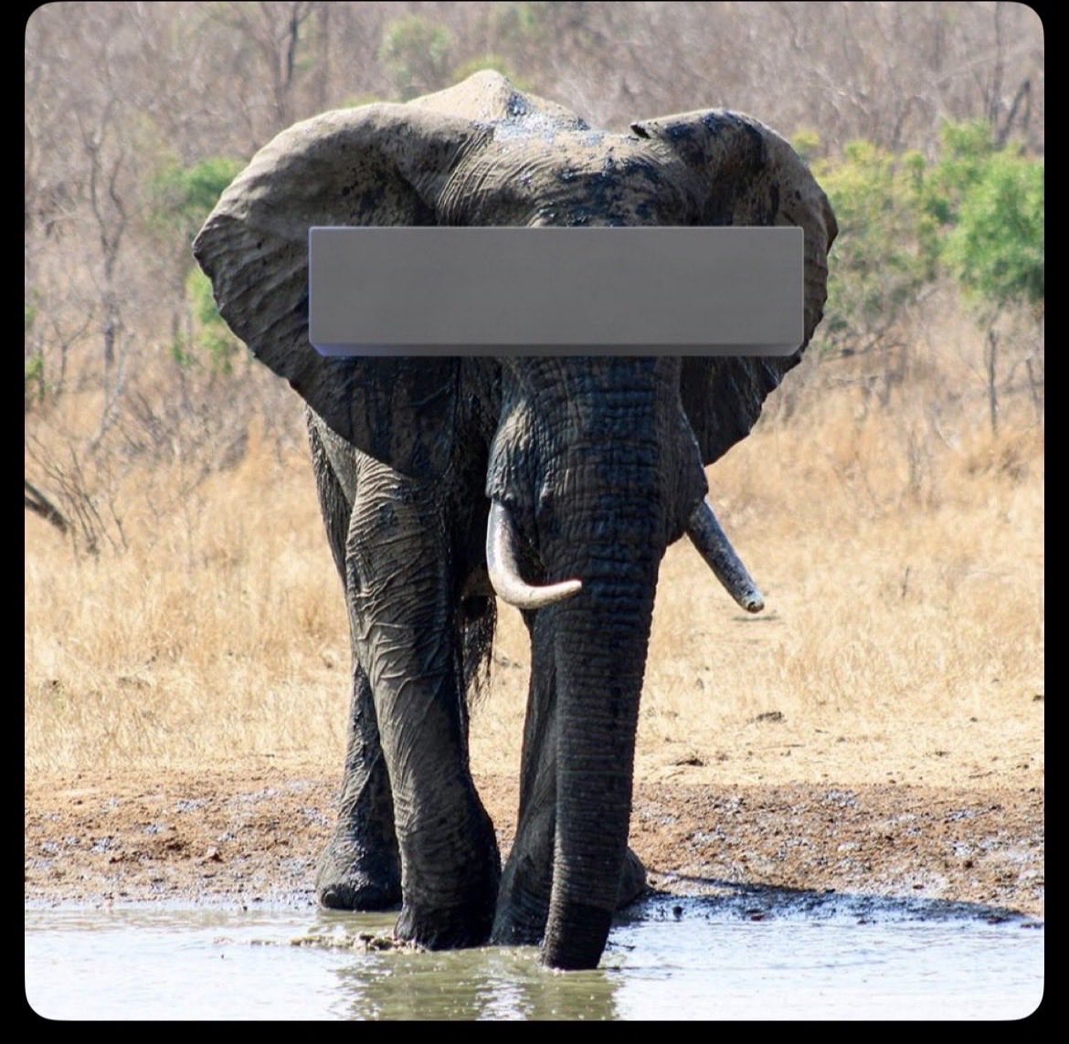 Mr. Werey tweet media