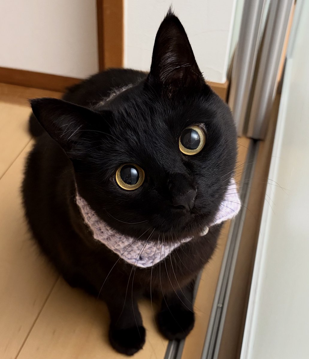 うに3才 tweet media