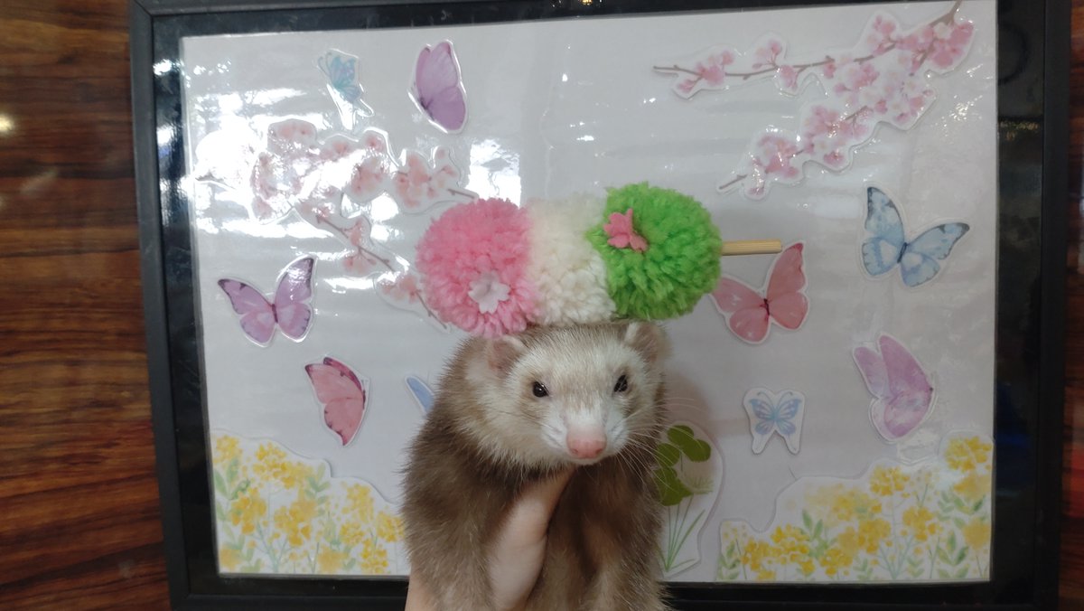 ローレシア tweet media