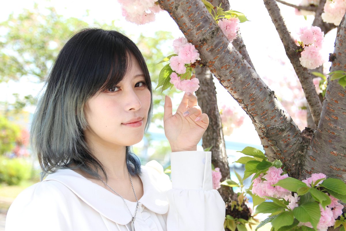 ケンボー（ちーむえりぽん） tweet media