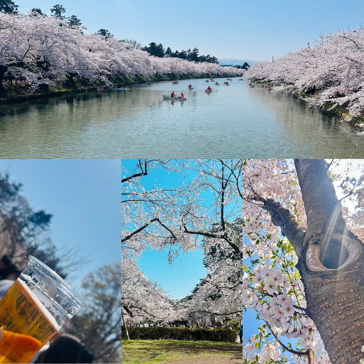 きなこ@ポケモンGO青森 tweet media