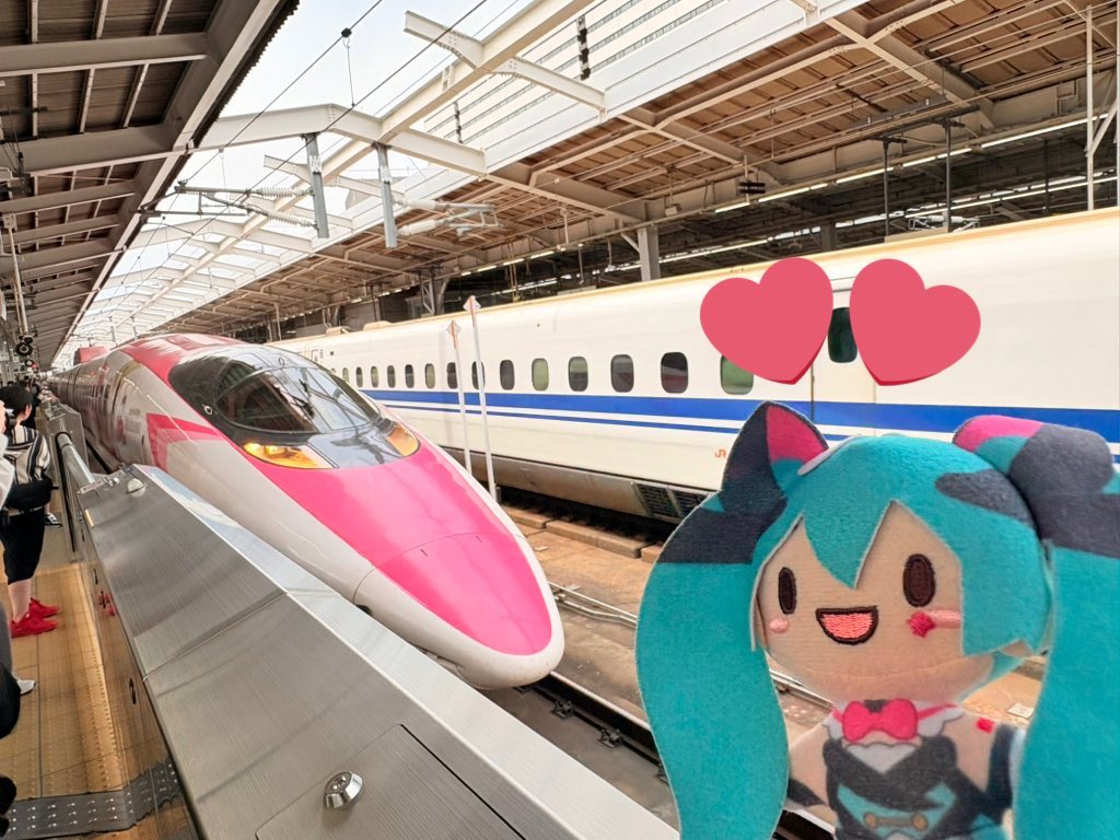 あんぷ🐈‍⬛🎪 tweet media