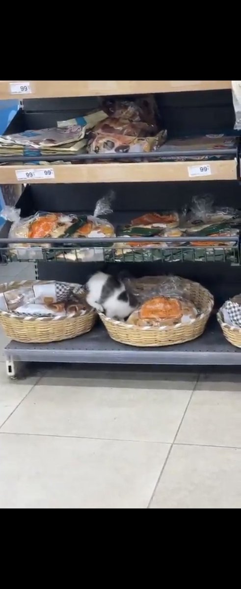 labidurlaa's tweet photo. @theano_8 @BulutGulcuN O halde size 2 örnek göstereyim ama inanın size yüzlerce örnek gösterebilirim https://t.co/D9Mh2TlC9M