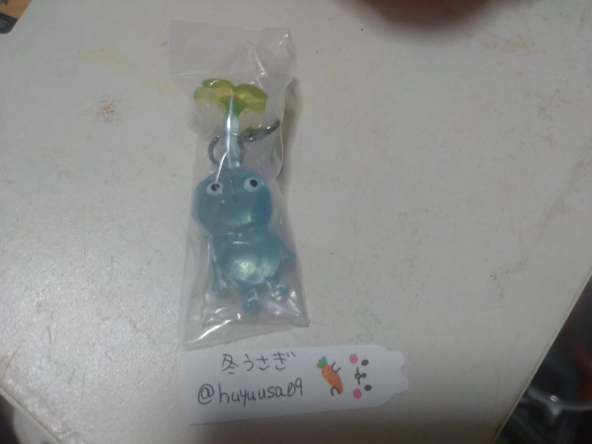 冬うさぎ tweet media