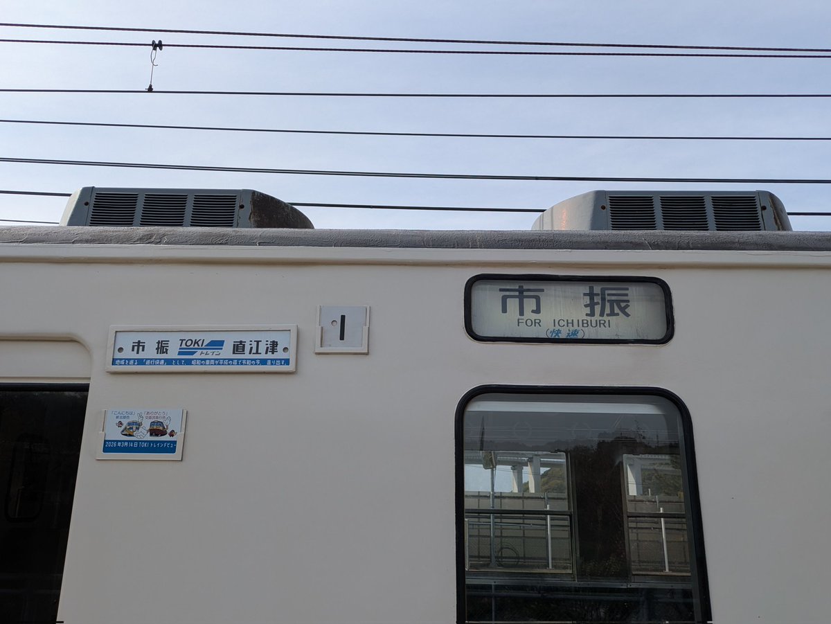 マリとりっぷ日記 tweet media