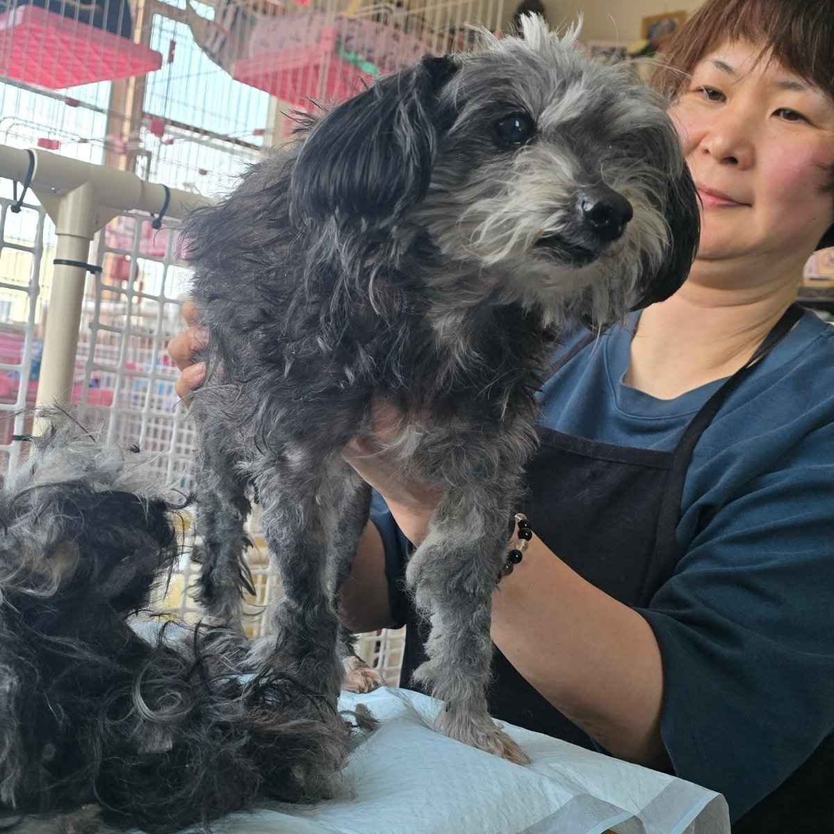 ａｍｉａｍｉ tweet media