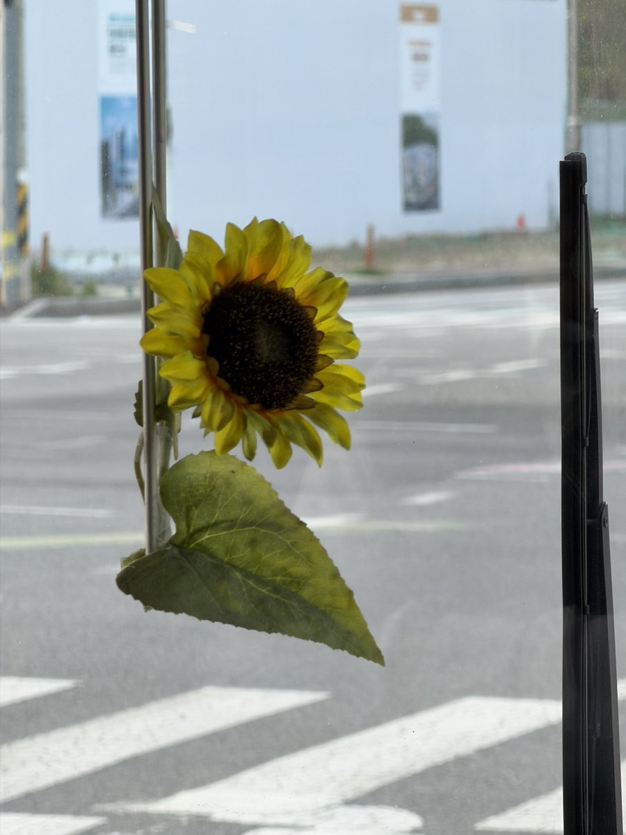 버스에서 해바라기 발견!🌻