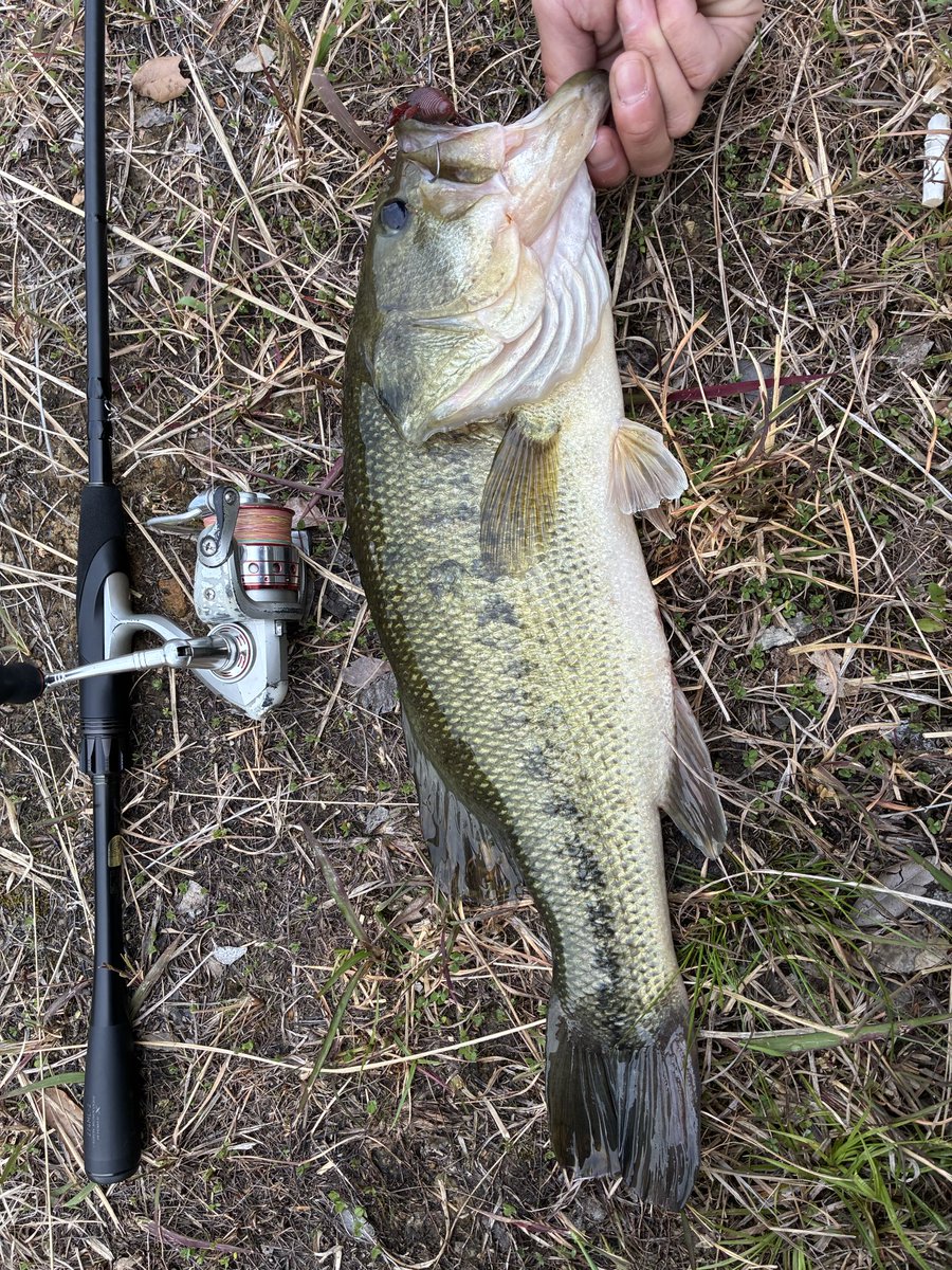 こーちゃん🪿🩵 tweet media