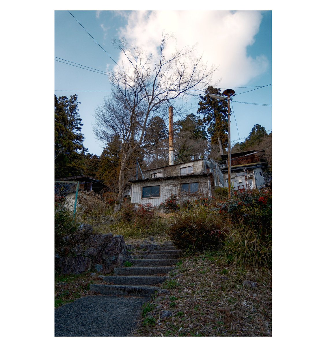 ゆっくりらむね tweet media