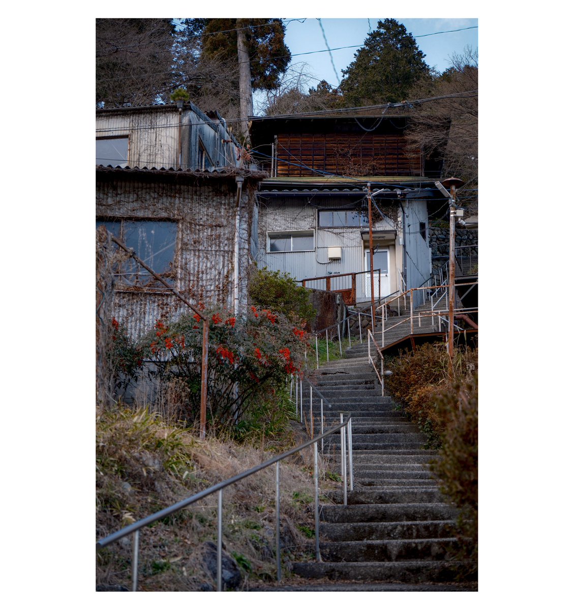 ゆっくりらむね tweet media