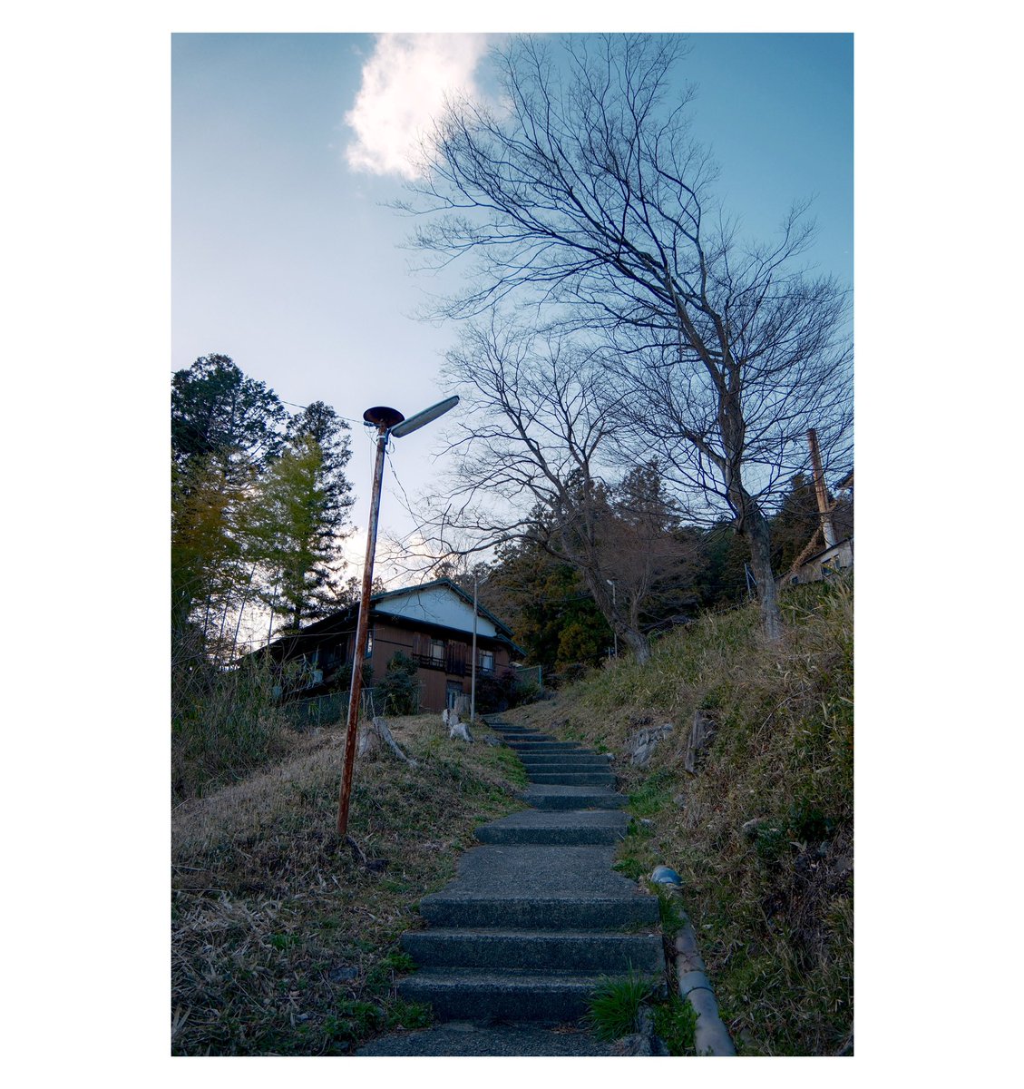 ゆっくりらむね tweet media