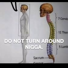 I'm lowkey plural pronouns tweet media