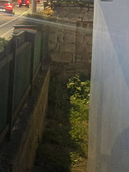 2460 Bruck Österreich
Hund über die Tierheimmauer geworfen!!!
Bitte überall teilen denn diese "Dame" muss gefunden werden!
Kopie Tierheim Bruck/Leitha
Hund über Tierheimmauer geworfen!!!
Heute, 18.04.2026, wurde gegen 20 Uhr ein Zwergspitz über die Tierheimmauer geworfen.
Eine