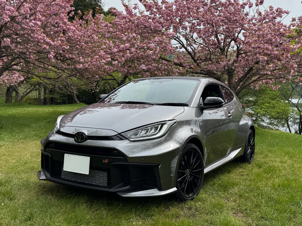 忘却のぼりさん😎ただいま長期休憩中😴😴😴 tweet media