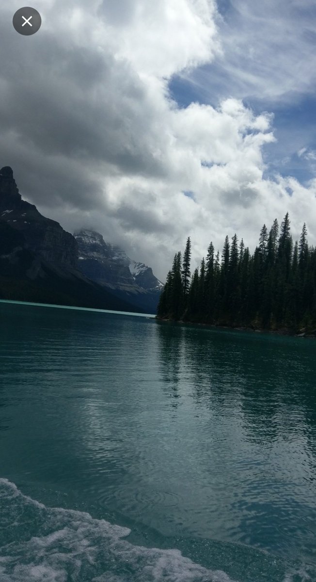 mridulachakraborty.🇮🇳 tweet media