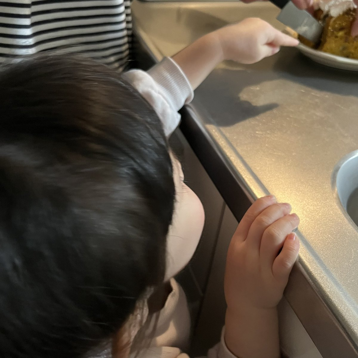 nekoze_boy's tweet photo. 大きいのがいい！ 
とねだってくるくらい好きだよね https://t.co/uPQcAYM4zF