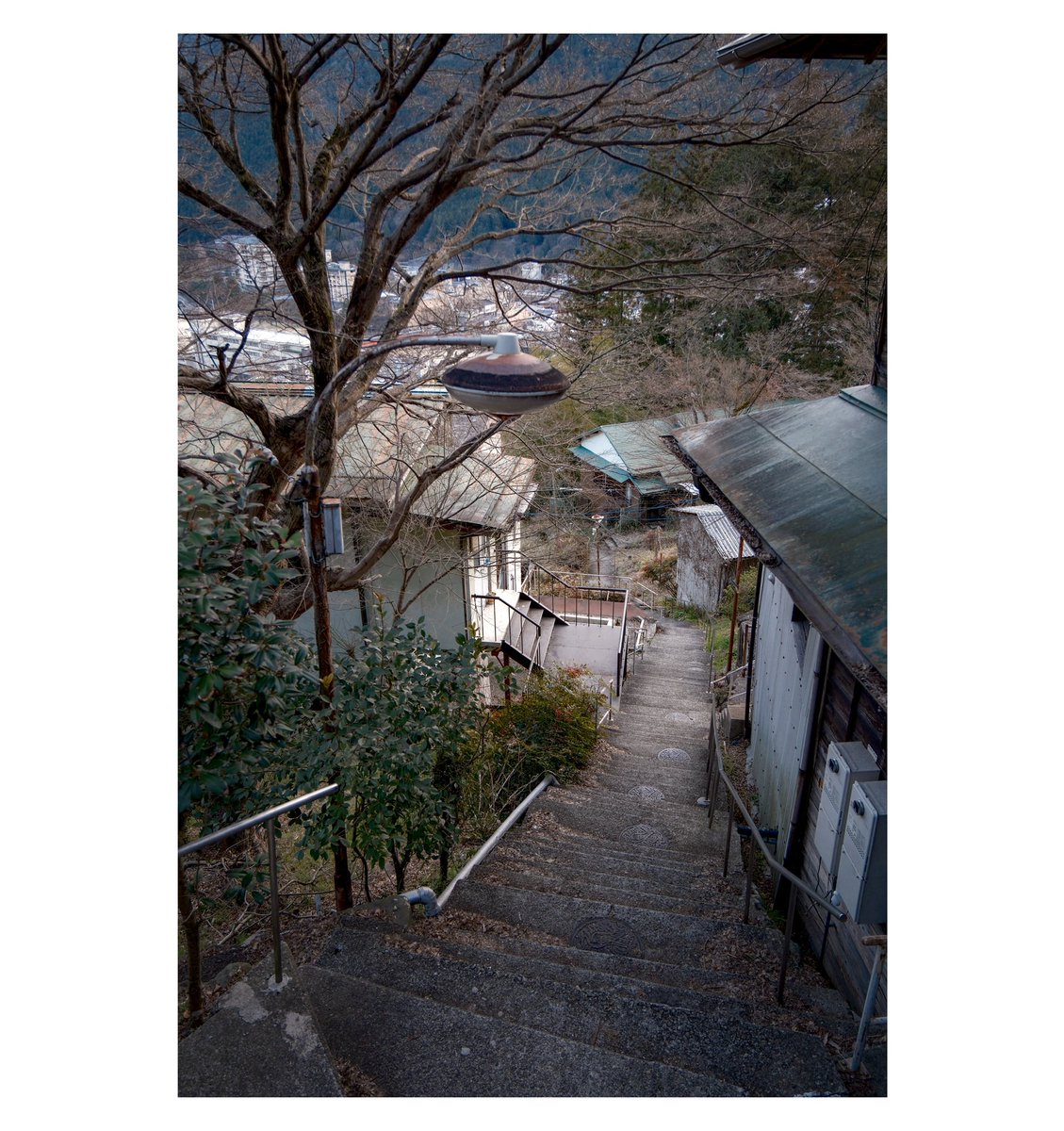 ゆっくりらむね tweet media