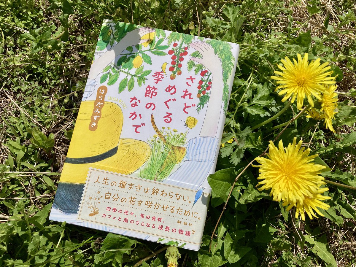 はらだみずき tweet media