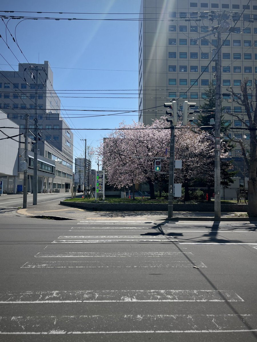 Anorakcity_'s tweet image. Anorakcity Störeは明日4/19(月)も13時より通常営業致します
皆様のご来店をお待ちしております

#ヴィンテージ #古着 #vintage #clothes #sapporo