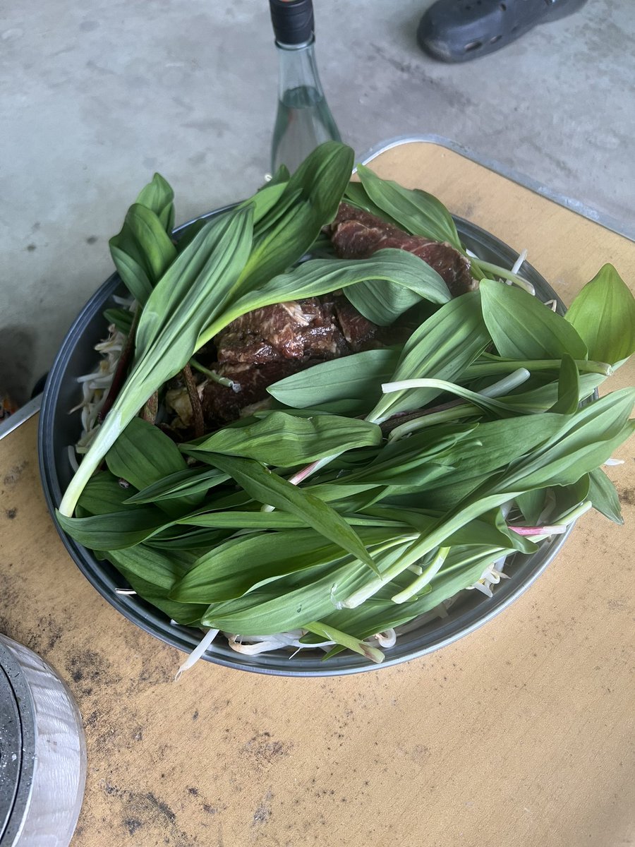 こうへい tweet media