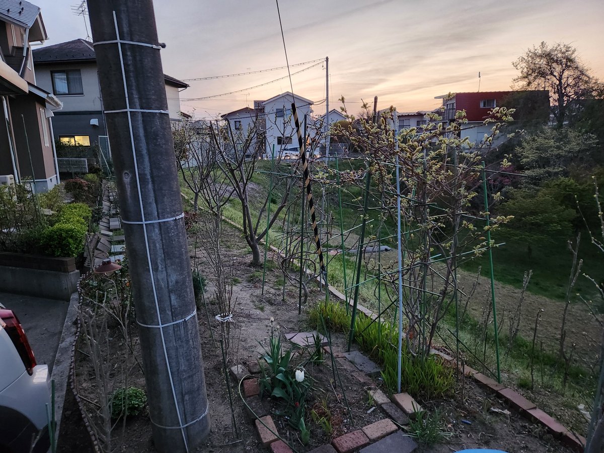 TG Racing tweet media