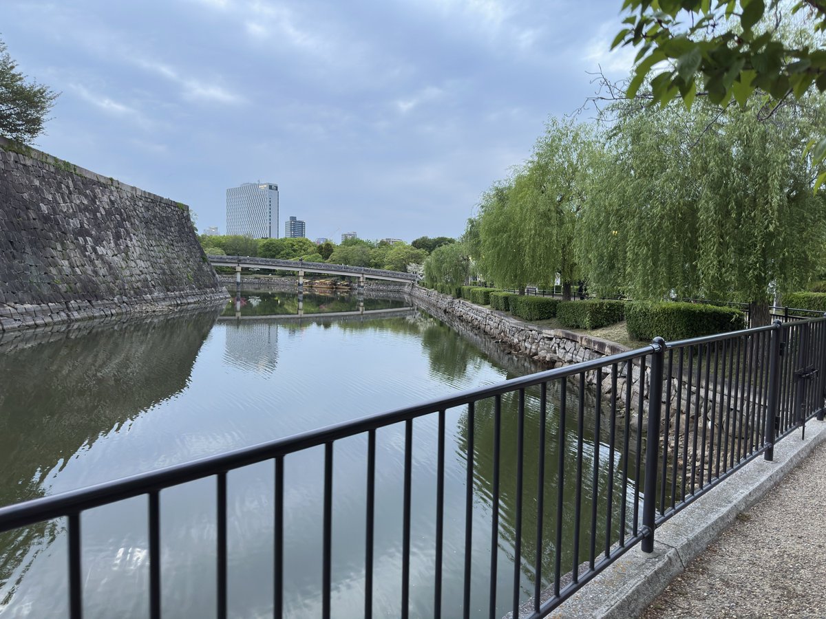 大型犬🎀💫 tweet media