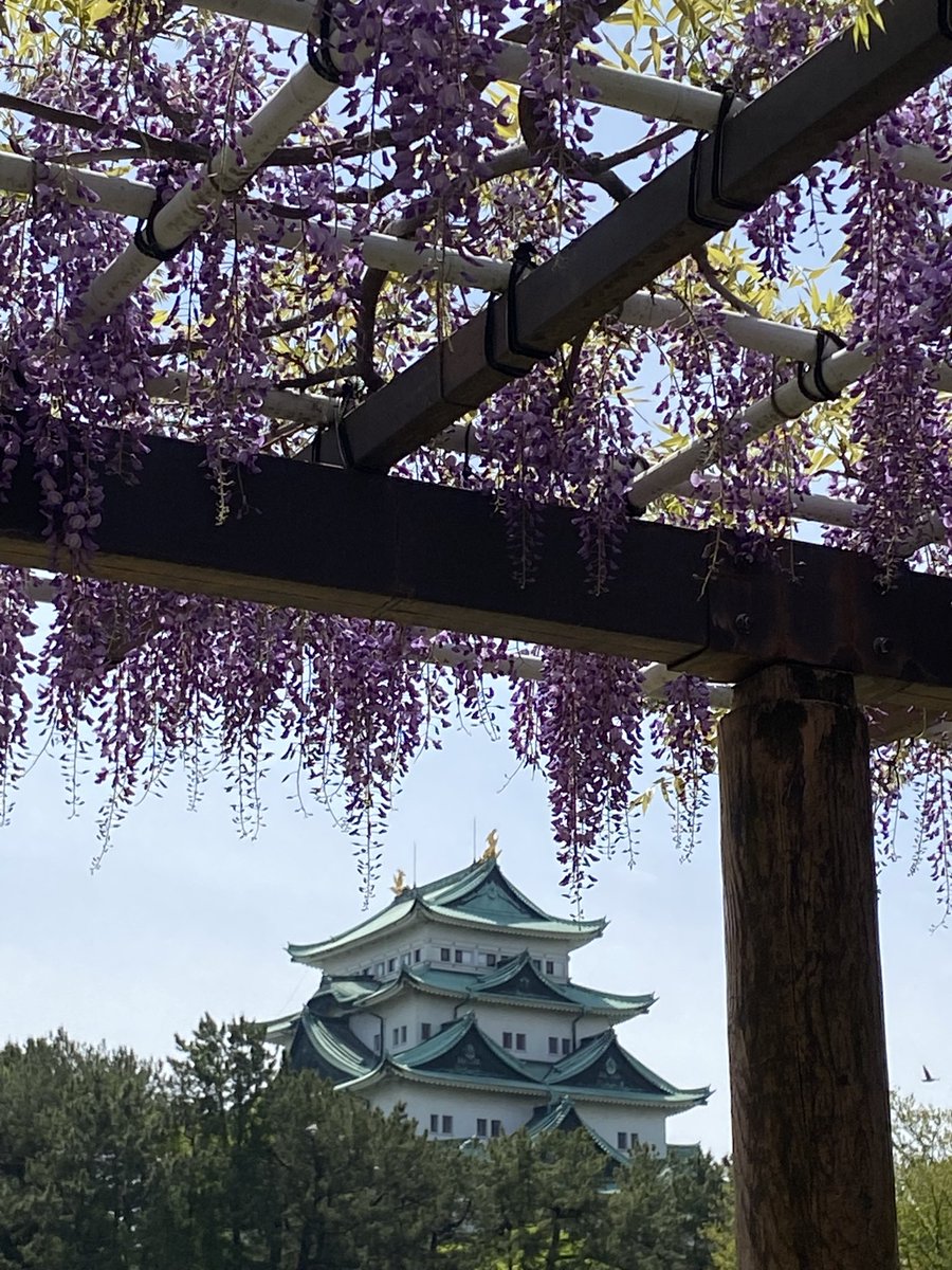 もーちこ🐸 tweet media