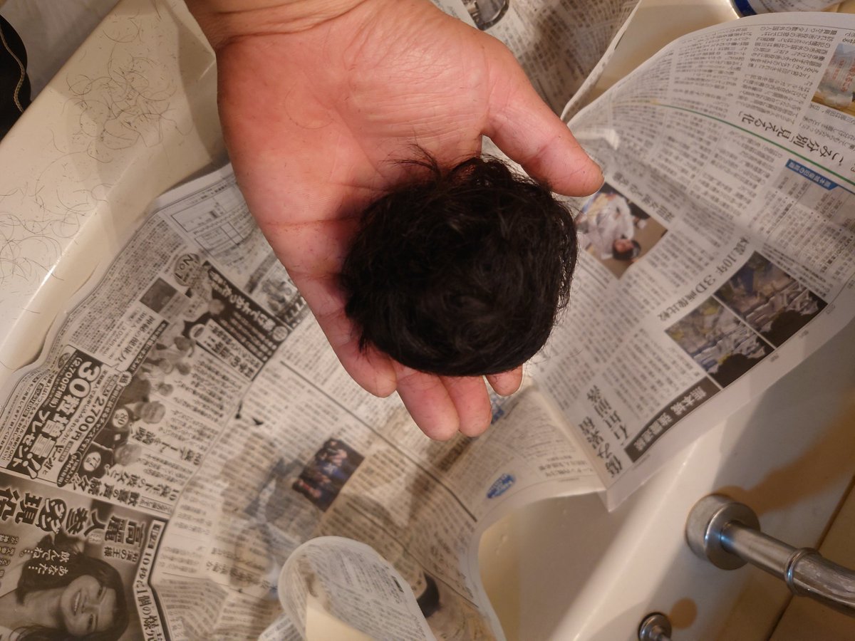 いまゆ@林道いこっかbot tweet media